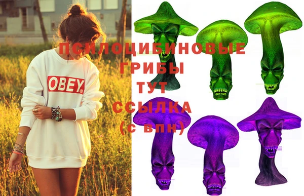 не бодяженный Бородино