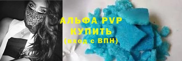 СК Бронницы