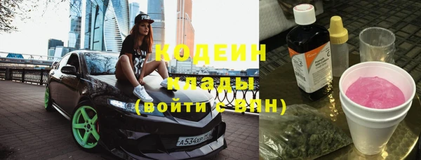 СК Бронницы