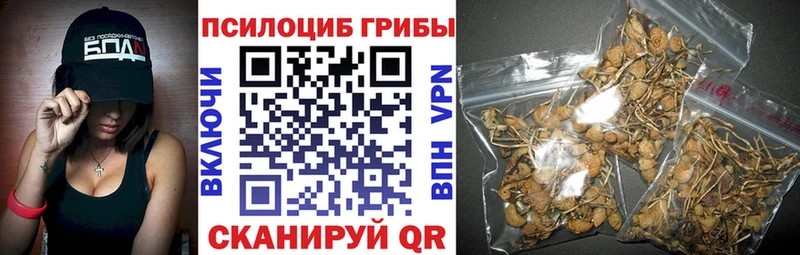 продажа наркотиков  Электрогорск  площадка состав  Галлюциногенные грибы GOLDEN TEACHER 